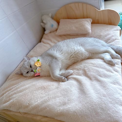 XZZHSM Katzenbett, Robustes, vom Boden abgehobenes Haustierbettgestell aus Holz, kausichere Katzenhütte für den Innenbereich, einfache Montage, modernes, tragbares Ruhebett für Haustiere ganz aus N XZZHSM Katzenbett, Robustes, vom Boden abgehobenes Haustierbettgestell aus Holz, kausichere Katzenhütte für den Innenbereich, einfache Montage, modernes, tragbares Ruhebett für Haustiere ganz aus N von XZZHSM