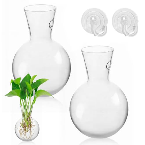 Pflanzen Vermehrungsstation Vase 4er-Set, Glas Terrarium Hydroponik Pflanzgefäß, Dekoration für Sukkulenten & Stecklinge, Innen Desktop Blumentopf (2) von Xafrstyu