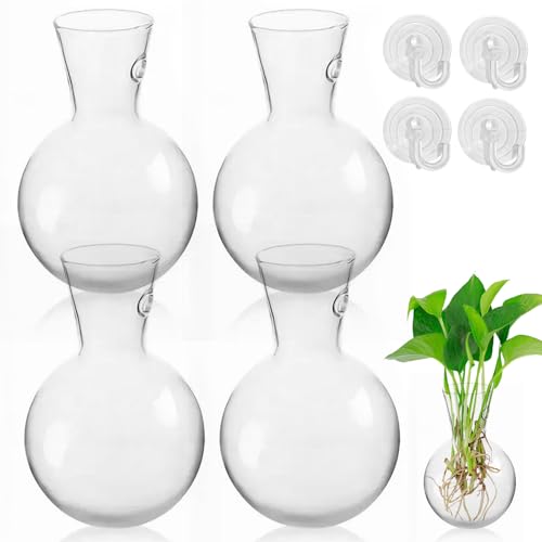 Pflanzen Vermehrungsstation Vase 4er-Set, Glas Terrarium Hydroponik Pflanzgefäß, Dekoration für Sukkulenten & Stecklinge, Innen Desktop Blumentopf (4) von Xafrstyu