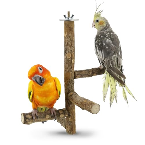 Xafrstyu Papageienstange, Natur Sitzstangen, Naturholz Sitzstangen, Vogel Spielzeug Sitzstangen Set für Wellensittich Nymphensittich Kanarienvogel Xafrstyu Papageienstange, Natur Sitzstangen, Naturholz Sitzstangen, Vogel Spielzeug Sitzstangen Set für Wellensittich Nymphensittich Kanarienvogel von Xafrstyu