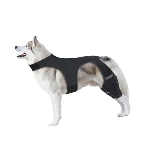 Xanorrg Hundeknieklammer Für Hinterbein Schützen Atmungsaktive Wickelhülle Beschützer Für Leitende Aktive Tierverbindung Hundeschutzbeschützer Xanorrg Hundeknieklammer Für Hinterbein Schützen Atmungsaktive Wickelhülle Beschützer Für Leitende Aktive Tierverbindung Hundeschutzbeschützer von Xanorrg