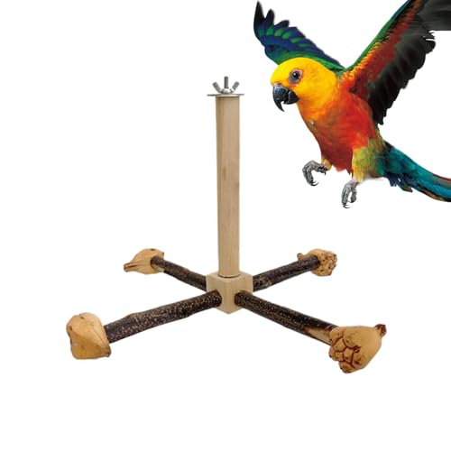 Vogelsitzstangen - 360° Vogelständer Sitzstange Spielzeug | Rotierende Sitzstangen Spielzeug | Schaukel Interaktives Spielzeug | Übung Klettern Sitzstange | Rotierend für von Xasbseulk