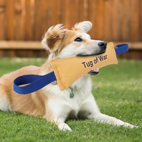 Xasbseulk Hundespielzeug zum Zerren – Zahnspielzeug für Hunde | Baumwoll-Leinen-sicheres Beißpolster | Tauziehen Trainingsspielzeug | Tragbares starkes Hundetrainingsspielzeug | Leichtes interaktives von Xasbseulk