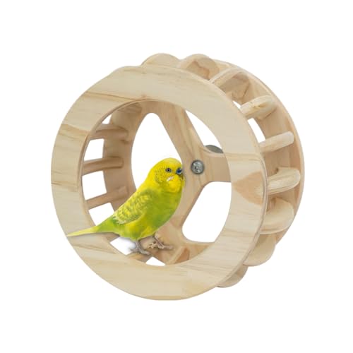 Xasbseulk Vogelkäfig Spielzeug | Drehbarer Spielzeug Vogel Holz Sitzstand | Interaktive Spielstange Für Haustiere Wie Kanarienvogel Lovebird Taube Conure Sittich Zuhause Xasbseulk Vogelkäfig Spielzeug | Drehbarer Spielzeug Vogel Holz Sitzstand | Interaktive Spielstange Für Haustiere Wie Kanarienvogel Lovebird Taube Conure Sittich Zuhause von Xasbseulk