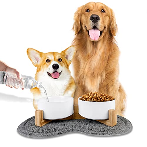 Xastomes Hundenapf Keramik Doppel Hundefutternapf mit Bambusbügel und Anti-Rutsch Pad, geeignet für Katzen und Hunde (850ml, 2-weiß) von Xastomes