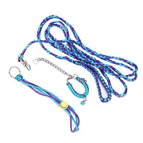 Kleiner Haustierkabelbaum, einstellbare Nylon -geflochtene Leine für Hamster -Meerschweinchen -Eichhörnchen, Außen -Wanderungstraining Control Weich bequemes sicheres Leichtgewicht (Blau- und Lila Kleiner Haustierkabelbaum, einstellbare Nylon -geflochtene Leine für Hamster -Meerschweinchen -Eichhörnchen, Außen -Wanderungstraining Control Weich bequemes sicheres Leichtgewicht (Blau- und Lila von Xergur