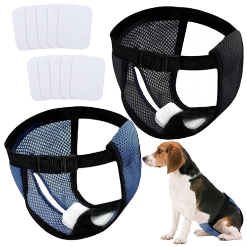 2er Pack Hunde Unterhose mit 10 Damenbinden, Waschbare Schutzhöschen für Hündinnen, Verstellbare Hundewindeln für Ungeübter Hund, Schwarz und Blau Läufigkeitshose für Hund Rüden Weibchen (L) 2er Pack Hunde Unterhose mit 10 Damenbinden, Waschbare Schutzhöschen für Hündinnen, Verstellbare Hundewindeln für Ungeübter Hund, Schwarz und Blau Läufigkeitshose für Hund Rüden Weibchen (L) von Xerteam