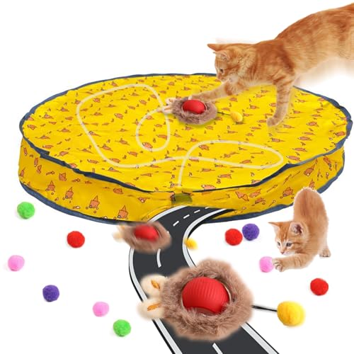 Xerteam Interaktives Katzenspielzeug Ball für Indoor-Katzen, Interaktives Spielzeug für Katzen, Versteckspiel Katzenspielzeug, Schnell rollender Katzenball Spielzeug mit Licht, Ideale Xerteam Interaktives Katzenspielzeug Ball für Indoor-Katzen, Interaktives Spielzeug für Katzen, Versteckspiel Katzenspielzeug, Schnell rollender Katzenball Spielzeug mit Licht, Ideale von Xerteam