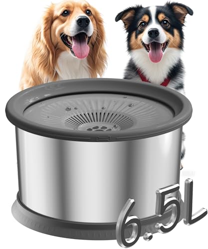 Wassernapf für Hunde, 6,5 l, kein Verschütten, 1,6 Gallonen, Edelstahl, langsamer Wassernapf für Hunde, 6,2 l, große Kapazität, kein Spritzen, Wassernapf für unordentliche Trinker Wassernapf für Hunde, 6,5 l, kein Verschütten, 1,6 Gallonen, Edelstahl, langsamer Wassernapf für Hunde, 6,2 l, große Kapazität, kein Spritzen, Wassernapf für unordentliche Trinker von Xetino