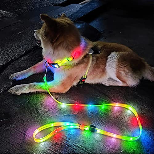 XhuangTech Beleuchtetes Hundehalsband und Leine, wiederaufladbar, wasserdicht, LEDHundehalsband, Silikon, leuchtet im Dunkeln, Nachtsicherheit, blinkendes Licht, Halsband und Leine für kleine, von XhuangTech