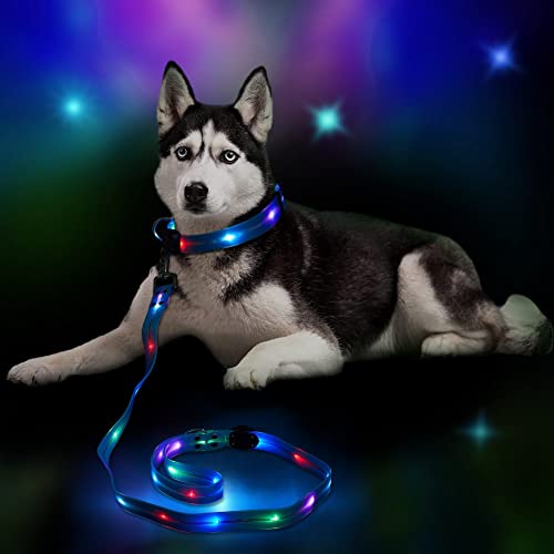 XhuangTech Beleuchtetes Hundehalsband und Leine, wiederaufladbar, wasserdicht, LEDHundehalsband, Silikon, leuchtet im Dunkeln, Nachtsicherheit, blinkendes Licht, Halsband und Leine für kleine, von XhuangTech