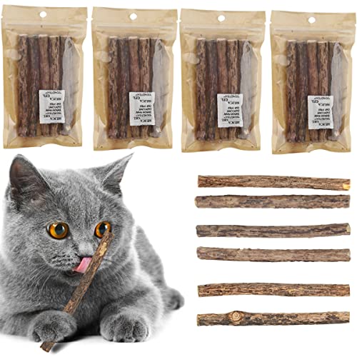 XiXiRan Katzenminze Stick, 20 Stück Zahnpflege Katzen Sticks, Matatabi Katze Kausticks, Katzen Kauhölzer, Katzenminze Sticks Spielzeug, Reine Natürliche Katzenminze Spielzeug, Zahnpflege von XiXiRan