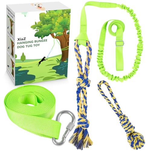 XiaZ Hund Bungee Zerrspielzeug Outdoor Hundespielzeug Hängend am Baum Tauziehen Spielzeug für Kleine Mittlere Große Hunde mit 2 Kauseil Spielzeug (Grün) von XiaZ