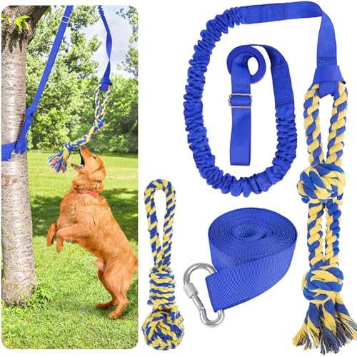 XiaZ Tug of War Hundespielzeug, interaktives Hundespielzeug, Bungee-Hänge-Haltegurt mit 2 Kauseil-Spielzeugen, strapazierfähig, Welpen, Outdoor-Aktivität, Aggressive Kauer, Beste kleine bis große von XiaZ