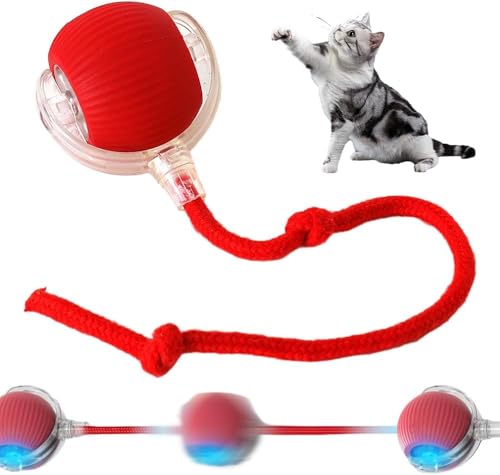 Xiangqianzou Interactive Rolling Dog Ball, interaktiver Ball über USB, wiederaufladbarer automatischer rotierender Ball, langlebig, interaktives Spielzeug für große und mittelgroße Hunde Xiangqianzou Interactive Rolling Dog Ball, interaktiver Ball über USB, wiederaufladbarer automatischer rotierender Ball, langlebig, interaktives Spielzeug für große und mittelgroße Hunde von Xiangqianzou