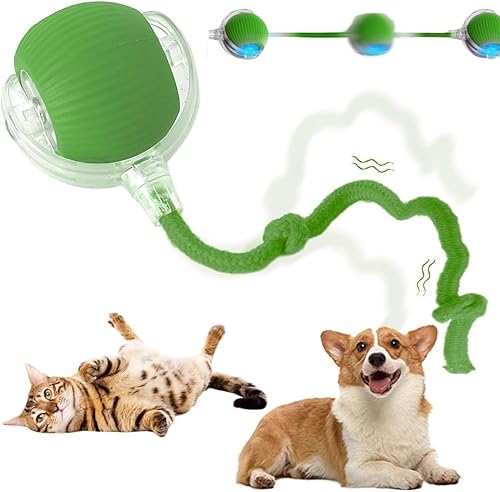 Xiangqianzou Interactive Rolling Dog Ball, interaktiver Spielball, wiederaufladbar über USB, automatischer rotierender Ball, langlebig, interaktives Spielzeug für große und mittelgroße Hunde Xiangqianzou Interactive Rolling Dog Ball, interaktiver Spielball, wiederaufladbar über USB, automatischer rotierender Ball, langlebig, interaktives Spielzeug für große und mittelgroße Hunde von Xiangqianzou