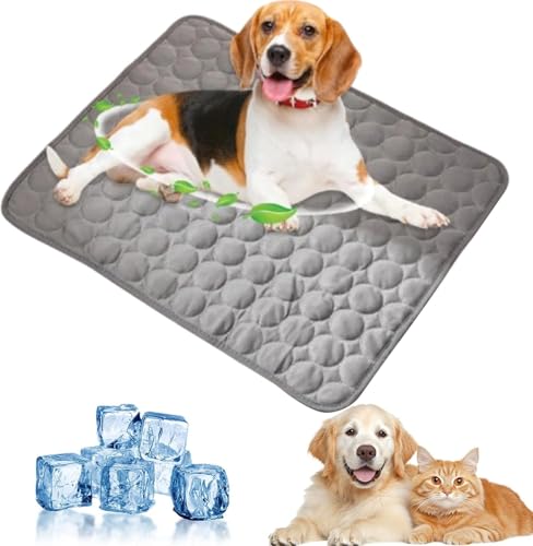 Xiangqianzou Kühlmatte Hunde,Selbstkühlende Hundematte Kühldecke Katzen,Ungiftig Kühlkissen für Haustiere,Waschbar Hund Kältematte für Drinnen,Draußen und Auto 55x70cm von Xiangqianzou