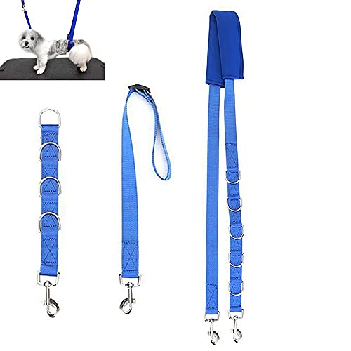 3pcs Trimmtisch Hundeleine,Bauchgurt,Hundepflege Gurt,verstellbar Schlinge Rückhaltegurt für Schertisch | Baden,Trocknen, Haare reparieren,Tierpflegeprodukte für Hunde, professionelle Tierpflege(Blau) 3pcs Trimmtisch Hundeleine,Bauchgurt,Hundepflege Gurt,verstellbar Schlinge Rückhaltegurt für Schertisch | Baden,Trocknen, Haare reparieren,Tierpflegeprodukte für Hunde, professionelle Tierpflege(Blau) von Xiangze