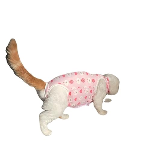 (Dreiteiliges Set) Katzen-Rehabilitationsanzug, postoperativer Katzen-Einteiler, atmungsaktiver Katzen-Kastrierungsanzug (rosa Kaninchen, Größe M (geeignet für Katzen bis zu 2,5 kg)) von Xiaoluoli