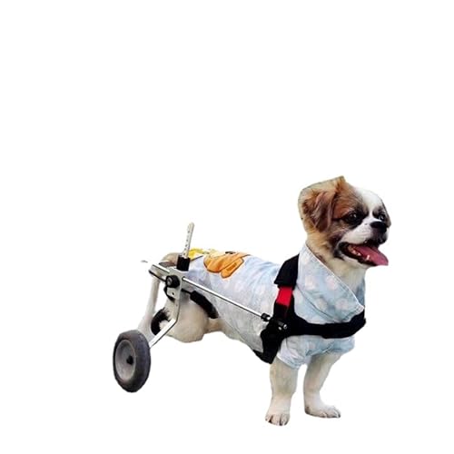 Hunde-Rollstuhlwagen für große und kleine Hunde mit Lähmung der Hinterbeine, Größe M, Samojeden und mittelgroße Hunde von Xiaoluoli
