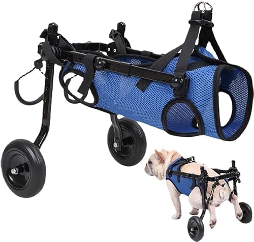 Hunderollstuhl, Behinderter Hund, Behinderte Hundehilfe, Hundewagen, leicht, größenverstellbar, geeignet für kleine und mittelgroße Hunde (2024 neuestes Modell) (Blau - M) von Xiaoluoli