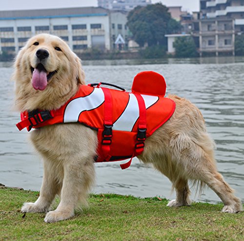 XIAOYU Hundeweste, verstellbare Schwimmweste für Haustiere Schwimmweste für Hunde, Schwimmkleidung für Neulinge Schwimmweste für Haustiere, Wassersicherheit am Pool, Strand, Bootfahrt, rot, S XIAOYU Hundeweste, verstellbare Schwimmweste für Haustiere Schwimmweste für Hunde, Schwimmkleidung für Neulinge Schwimmweste für Haustiere, Wassersicherheit am Pool, Strand, Bootfahrt, rot, S von XIAOYU
