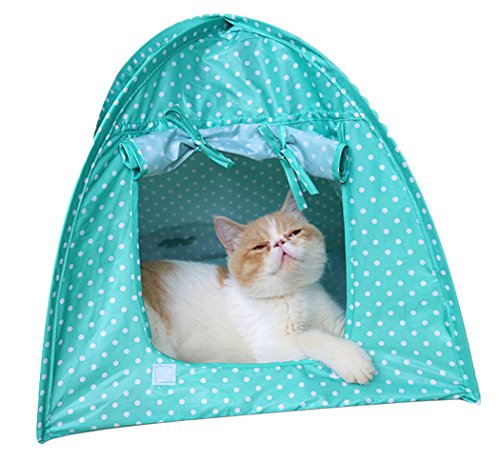 XIAOYU Faltbare Katze Welpen Haustier Camping Zelt Haus, für außen/innen, Anti-Moskito, grün von XIAOYU