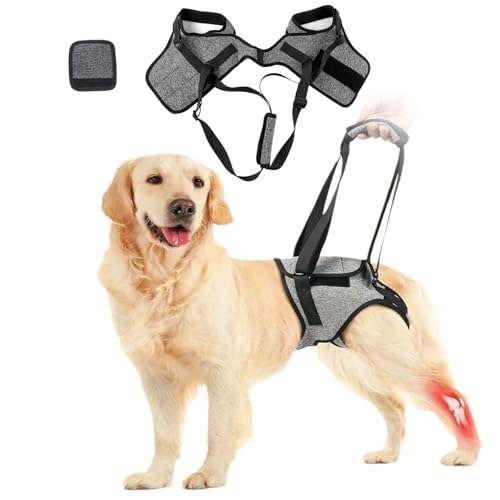 Xiciki Hunde-Hebegeschirr, Beinbandage, Schlingen für kleine, mittelgroße und große Hunde, verstellbares Hunde-Stützgeschirr für Rücken, Beine, Stützgurt für verletzte, behinderte ältere Hunde Xiciki Hunde-Hebegeschirr, Beinbandage, Schlingen für kleine, mittelgroße und große Hunde, verstellbares Hunde-Stützgeschirr für Rücken, Beine, Stützgurt für verletzte, behinderte ältere Hunde von Xiciki