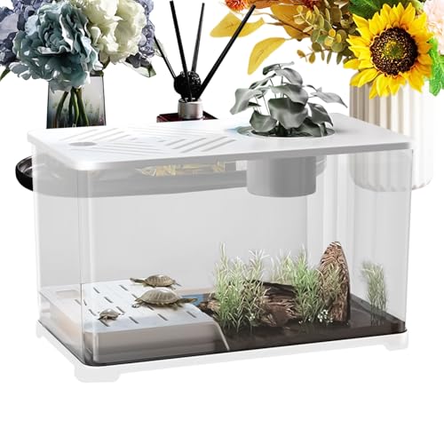 Xijobido Fischbecken - Großes Desktop Aquarium - Panorama Sichtbecken Mit Schildkröten Ruhebereich Für Guppy Quallen Und Wasserpflanzen Als Schreibtisch Deko von Xijobido