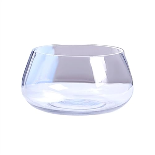 Xilin-872 Aquarien Aquarium Glas Runde Ökologische Tank Kleines Zuhause Transparent Aquarium Desktop Home Schildkröte Tank Wasser Pflanzen Desktop-Aquarium(L) von Xilin-872