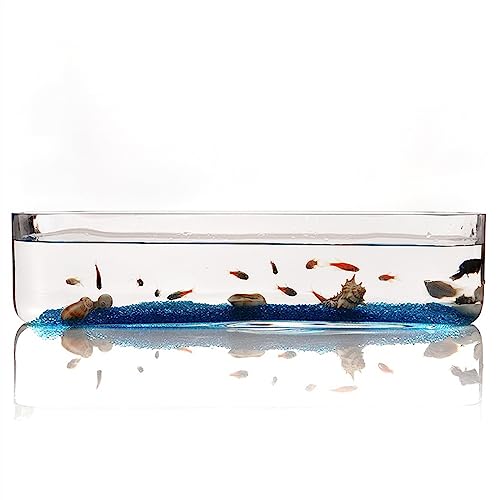 Xilin-872 Aquarien Aquarium Kleines Glas Rechteckiges Aquarium Aquarium Ökologisches Aquarium Transparentes Glas Wohnzimmer Büro Desktop Aquarium Dekoration Desktop-Aquarium(L) von Xilin-872