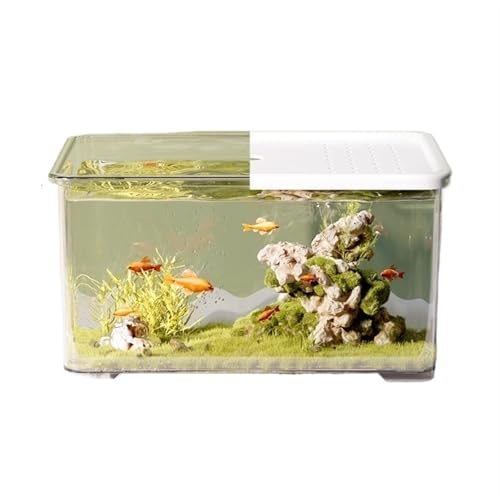 Xilin-872 Aquarien Transparentes Acryl-Aquarium mit Schiebedeckel, kleines Wohnzimmer-Desktop-Aquarium, Büro-Dekoration, Schildkröten-Aquarium Desktop-Aquarium(Weiß) von Xilin-872