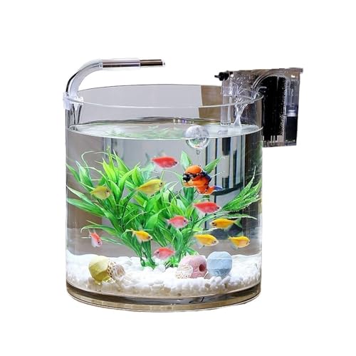 Xilin-872 Aquarien Transparentes Glasfischaquarium Wohnzimmer Büro Desktop Zylindrisches Fischaquarium Aquascape Glasaquarium Desktop-Aquarium(20x20cm) von Xilin-872