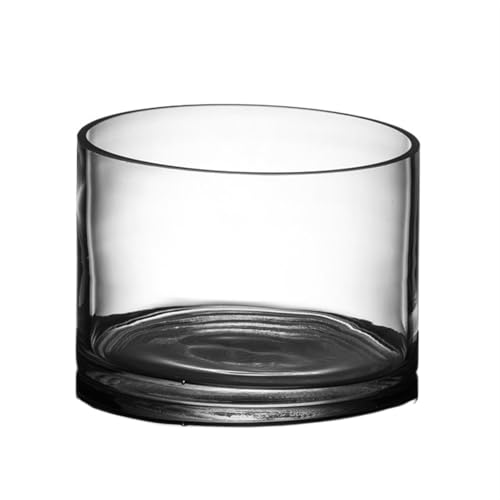 Xilin-872 Aquarien Zylindrischen Große Glas Fisch Tank Wohnzimmer HD Glas Fisch Tank Schildkröte Tank Aquarium Desktop-Aquarium(20x14cm) von Xilin-872