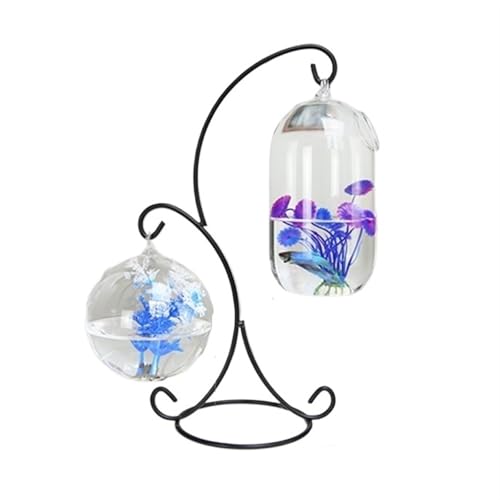 Aquarien Kleines hängendes Aquarium, Metallrahmen, 2 Stück, Glas, kleines Aquarium, hängende Desktop-Dekoration, Aquarium Desktop-Aquarium von Xilin-872