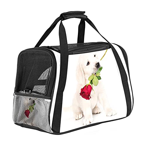 Xingruyun Hundetragetasche Golden Retriever Rose Katzentragetasche Faltbare Transporttasche Atmungsaktiv Haustiertasche Für Katzen Und Hunden 43x26x30 cm von Xingruyun
