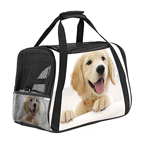 Xingruyun Hundetragetasche Süßer Golden Retriever Katzentragetasche Faltbare Transporttasche Atmungsaktiv Haustiertasche Für Katzen Und Hunden 43x26x30 cm von Xingruyun