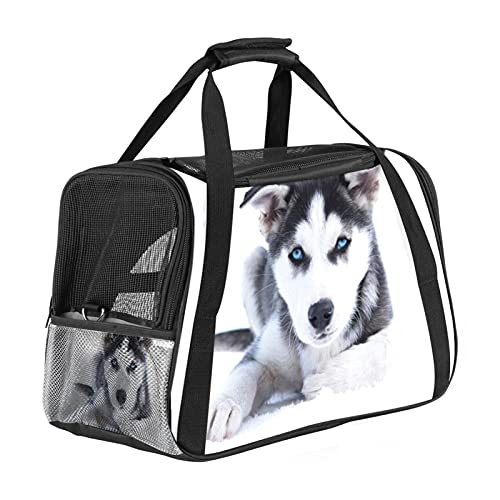 Xingruyun Hundetragetasche Süßer Husky Katzentragetasche Faltbare Transporttasche Atmungsaktiv Haustiertasche Für Katzen Und Hunden 43x26x30 cm von Xingruyun