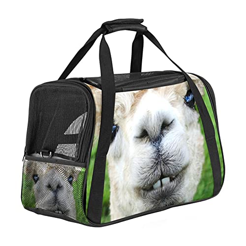 Xingruyun Katze Transporttasche Alpaka Tier Lama Hund Transporttasche Faltbare Tragetasche für Haustiere Hundetragetasche Katzentragetasche 43x26x30 cm von Xingruyun