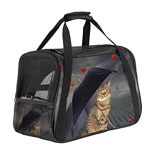 Xingruyun Katze Transporttasche Lustige Katzen Hund Transporttasche Faltbare Tragetasche für Haustiere Hundetragetasche Katzentragetasche 43x26x30 cm von Xingruyun