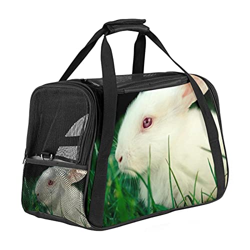 Xingruyun Katze Transporttasche weißer Hase Hund Transporttasche Faltbare Tragetasche für Haustiere Hundetragetasche Katzentragetasche 43x26x30 cm von Xingruyun