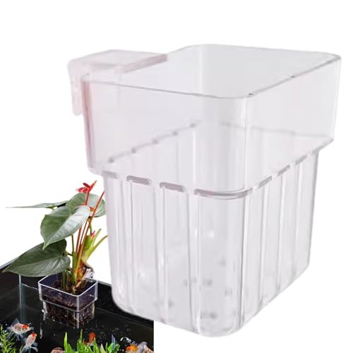 Aquariumpflanzenhalter – Wasserpflanzentopf, Pflanzenaufhänger für Aquarien, hängende Aquarium-Pflanzbecher mit Loch, Aquarium-Pflanzbecher für Emerse-Pflanzen, Dekorationen für Aquarien, lebende Aquariumpflanzenhalter – Wasserpflanzentopf, Pflanzenaufhänger für Aquarien, hängende Aquarium-Pflanzbecher mit Loch, Aquarium-Pflanzbecher für Emerse-Pflanzen, Dekorationen für Aquarien, lebende von Xinhuju