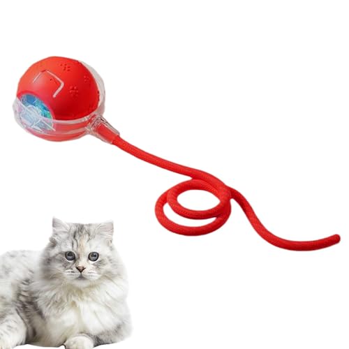 Automatisches Spielzeug für Katzen, Zwitschern und Aktivieren Sie die Bewegung für Katzen für Katzen - Spielzeugbälle für schnelle Rolling -Katzen für Kätzchen für Kätzchen | Katzen Teaser Ball Fun Ca Automatisches Spielzeug für Katzen, Zwitschern und Aktivieren Sie die Bewegung für Katzen für Katzen - Spielzeugbälle für schnelle Rolling -Katzen für Kätzchen für Kätzchen | Katzen Teaser Ball Fun Ca von Xinhuju
