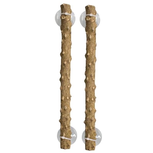 Gecko Clambering Stick - Wohnverbindungsstange, Gehäuse Skalierung | Robustas Haus Ihres Reptiliens Mit Unserem Robusten Eckkletterzweig Aus Hochwertigem Stickelholzholz An. Mit Gecko Clambering Stick - Wohnverbindungsstange, Gehäuse Skalierung | Robustas Haus Ihres Reptiliens Mit Unserem Robusten Eckkletterzweig Aus Hochwertigem Stickelholzholz An. Mit von Xinhuju