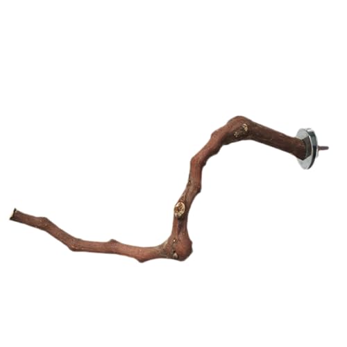 Grape Bird Barsch – Käfig-Astbarsch, Kletterbarsch-AST | Sittichkäfig-Kletterstab, natürlich, Traubenstab, Vogel-Stehstab – Kletter-Stehkäfig, Astzubehör, Spielzeug für Sittiche Grape Bird Barsch – Käfig-Astbarsch, Kletterbarsch-AST | Sittichkäfig-Kletterstab, natürlich, Traubenstab, Vogel-Stehstab – Kletter-Stehkäfig, Astzubehör, Spielzeug für Sittiche von Xinhuju