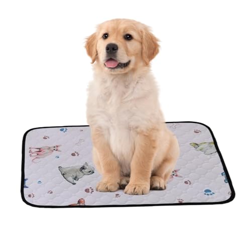 Hunde-Pipi-Matte, Welpen-Pipi-Matte – Urin Absorbierende Matte für Welpen – Wiederverwendbare Trainingsmatte für Welpen, Urin-Absorbierende Bettwäsche für Zwinger, Auto, Teppich, Boden, Zaun Hunde-Pipi-Matte, Welpen-Pipi-Matte – Urin Absorbierende Matte für Welpen – Wiederverwendbare Trainingsmatte für Welpen, Urin-Absorbierende Bettwäsche für Zwinger, Auto, Teppich, Boden, Zaun von Xinhuju