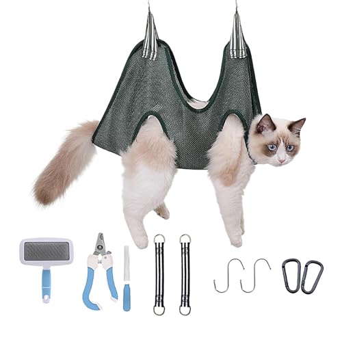 Hundehängematte, Hundepflegegeschirr | Hundepflegegeschirr, A-Halterung für Nagelknipser, 10-teiliges Set - Haustier-Nagelfeile, Brett-Set von Xinhuju