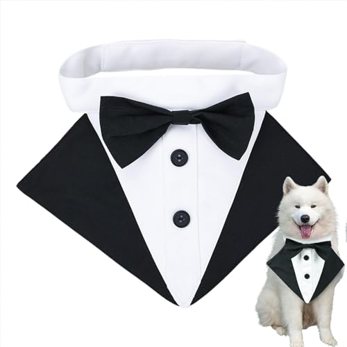 Hundehalsband, Hundehalsband mit Fliege - Hochzeitshalstuch für Hunde mit Fliege | Elegantes Bandana-Halsband, bequemes Hundegeschirr für kleine, mittelgroße und g Hundehalsband, Hundehalsband mit Fliege - Hochzeitshalstuch für Hunde mit Fliege | Elegantes Bandana-Halsband, bequemes Hundegeschirr für kleine, mittelgroße und g von Xinhuju