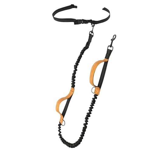 Hundeseil zum freihändigen Laufen, Hundeseil mit Gürtel | einziehbares Seil für Hunde | Freihändiges Hundeseil, reflektierendes Hundeseil, Laufseil und D Hundeseil zum freihändigen Laufen, Hundeseil mit Gürtel | einziehbares Seil für Hunde | Freihändiges Hundeseil, reflektierendes Hundeseil, Laufseil und D von Xinhuju