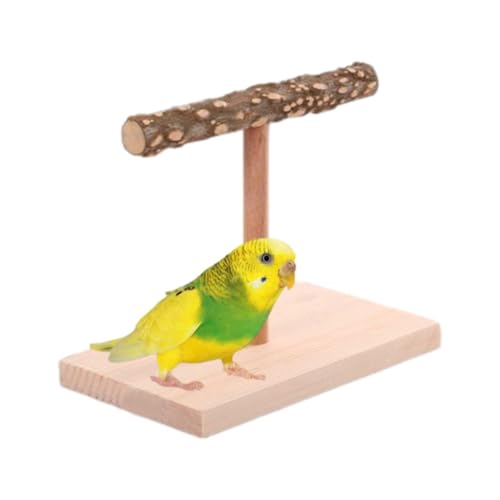 -Kleiderbügel für Vögel – Plattform für Vögel in T-Form, Tischaufhänger für Calopsitas, Wellensittiche, , Aras, Pfingstrosen, von Xinhuju
